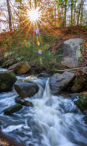 Preview wallpaper landscape, river, forest, stones, water, sun, nature