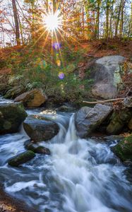 Preview wallpaper landscape, river, forest, stones, water, sun, nature