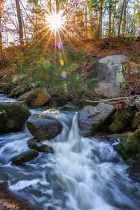 Preview wallpaper landscape, river, forest, stones, water, sun, nature