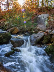 Preview wallpaper landscape, river, forest, stones, water, sun, nature
