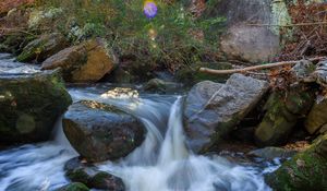 Preview wallpaper landscape, river, forest, stones, water, sun, nature