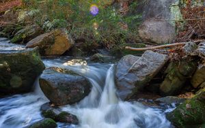 Preview wallpaper landscape, river, forest, stones, water, sun, nature