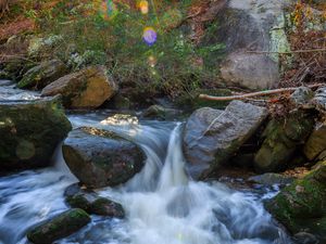 Preview wallpaper landscape, river, forest, stones, water, sun, nature