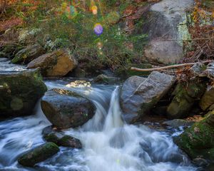 Preview wallpaper landscape, river, forest, stones, water, sun, nature