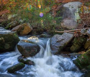 Preview wallpaper landscape, river, forest, stones, water, sun, nature