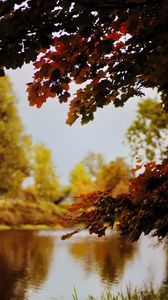 Preview wallpaper landscape, river, pond, branches, autumn, trees