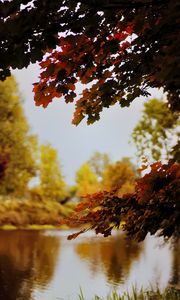 Preview wallpaper landscape, river, pond, branches, autumn, trees