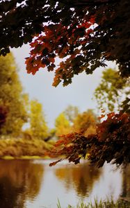 Preview wallpaper landscape, river, pond, branches, autumn, trees