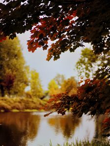 Preview wallpaper landscape, river, pond, branches, autumn, trees