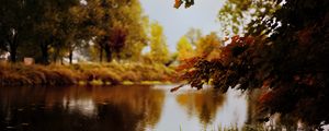 Preview wallpaper landscape, river, pond, branches, autumn, trees