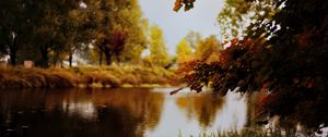 Preview wallpaper landscape, river, pond, branches, autumn, trees