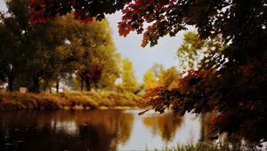 Preview wallpaper landscape, river, pond, branches, autumn, trees