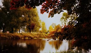 Preview wallpaper landscape, river, pond, branches, autumn, trees