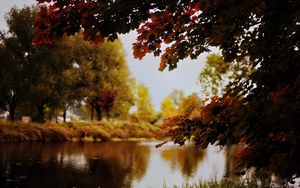 Preview wallpaper landscape, river, pond, branches, autumn, trees