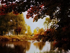 Preview wallpaper landscape, river, pond, branches, autumn, trees