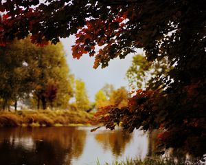 Preview wallpaper landscape, river, pond, branches, autumn, trees