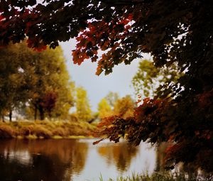 Preview wallpaper landscape, river, pond, branches, autumn, trees