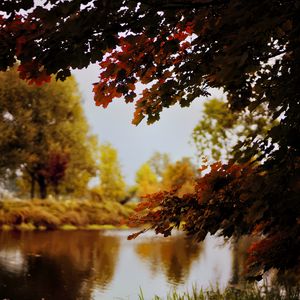 Preview wallpaper landscape, river, pond, branches, autumn, trees