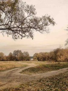 Preview wallpaper landscape, roads, country, autumn, gray