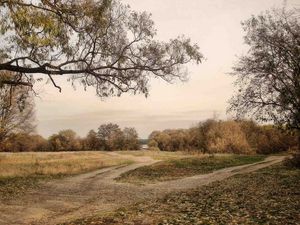 Preview wallpaper landscape, roads, country, autumn, gray