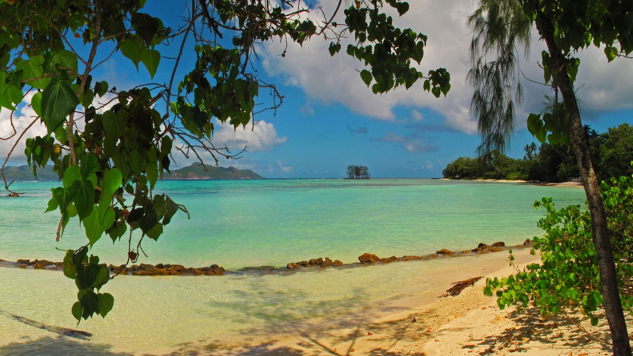 Wallpaper landscape, sea, seychelles la digue, beach, foliage, nature