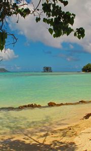 Preview wallpaper landscape, sea, seychelles la digue, beach, foliage, nature