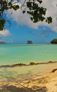 Preview wallpaper landscape, sea, seychelles la digue, beach, foliage, nature