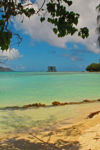 Preview wallpaper landscape, sea, seychelles la digue, beach, foliage, nature