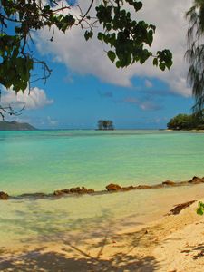 Preview wallpaper landscape, sea, seychelles la digue, beach, foliage, nature