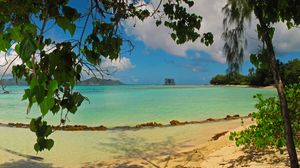 Preview wallpaper landscape, sea, seychelles la digue, beach, foliage, nature