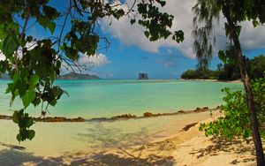 Preview wallpaper landscape, sea, seychelles la digue, beach, foliage, nature