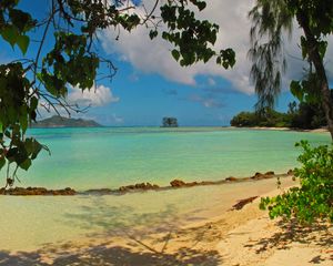 Preview wallpaper landscape, sea, seychelles la digue, beach, foliage, nature