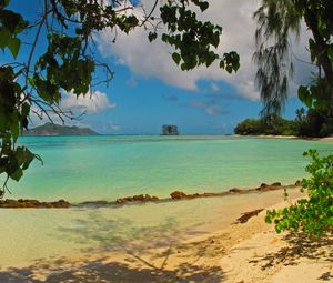 Preview wallpaper landscape, sea, seychelles la digue, beach, foliage, nature