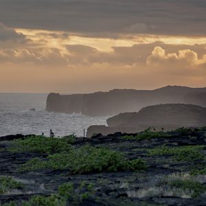 Preview wallpaper landscape, sea, shore, evening