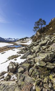 Preview wallpaper landscape, slope, stones, snow, tree