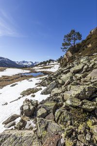 Preview wallpaper landscape, slope, stones, snow, tree