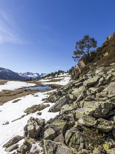 Preview wallpaper landscape, slope, stones, snow, tree