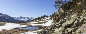 Preview wallpaper landscape, slope, stones, snow, tree