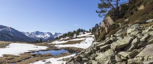 Preview wallpaper landscape, slope, stones, snow, tree