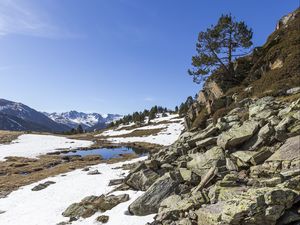 Preview wallpaper landscape, slope, stones, snow, tree