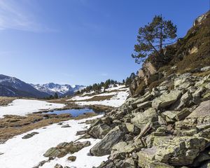 Preview wallpaper landscape, slope, stones, snow, tree