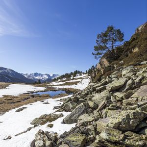 Preview wallpaper landscape, slope, stones, snow, tree