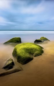 Preview wallpaper landscape, stones, moss, shore, sea, nature