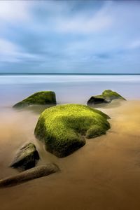 Preview wallpaper landscape, stones, moss, shore, sea, nature