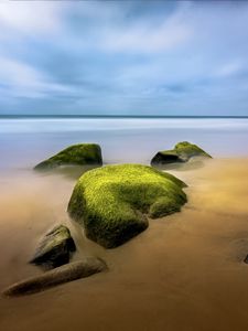 Preview wallpaper landscape, stones, moss, shore, sea, nature