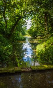 Preview wallpaper landscape, stream, bridge, trees