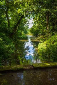 Preview wallpaper landscape, stream, bridge, trees