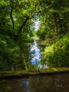 Preview wallpaper landscape, stream, bridge, trees