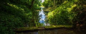 Preview wallpaper landscape, stream, bridge, trees