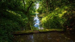 Preview wallpaper landscape, stream, bridge, trees